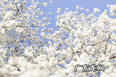 淘宝静默订单客服怎么分配?分流不均怎么?办?