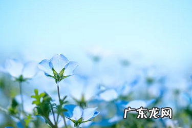 淘宝店铺为什么经营这么难?有哪些因素?