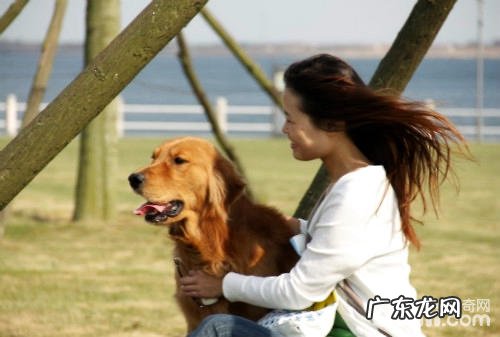 男不养猫,女不养狗一定是对的吗