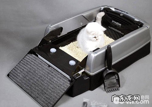 真的有主动清洁猫砂盆吗?