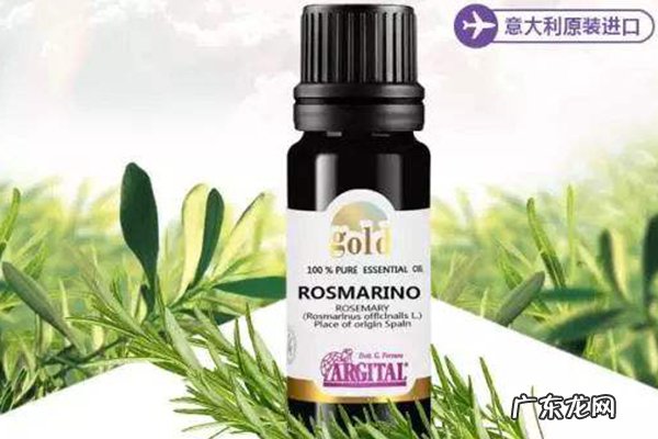 全球十大留香型洗发露