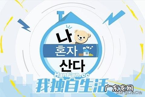 什么韩国综艺节目好看,有什么好看的综艺节目 韩国综艺节目大全排行榜