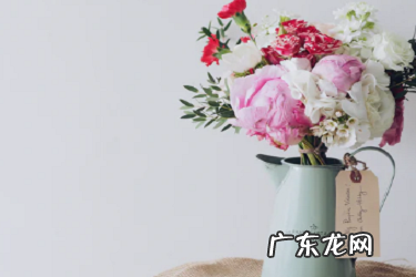 淘宝运送方式怎么选择?最佳配送方法是什么?