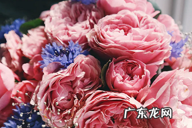 千牛买家秀怎么打开?如何设置?