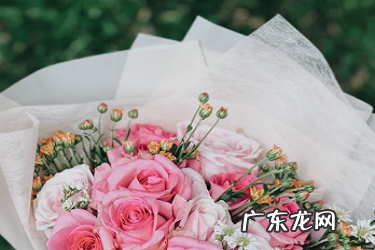 淘宝直播怎样才不违规?直播被停怎么办?