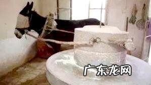 大学不适应。孤独抑郁,不喜欢室友,非常想退学怎么办