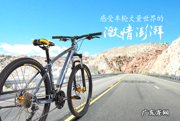 性价比最好的山地车