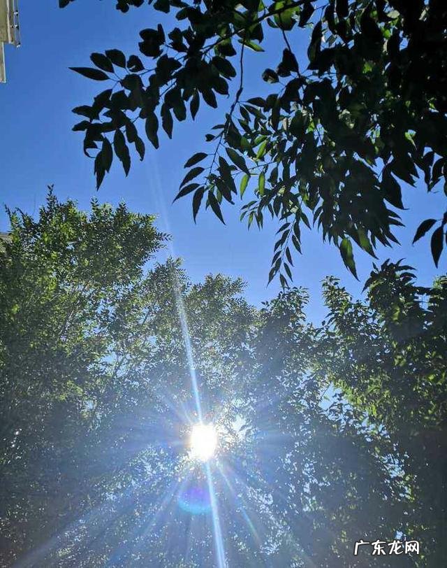 一般的甲亢患者多久才能好 甲亢一般多久会死？有什么需要注意的吗？