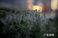 一般的甲亢患者多久才能好 甲亢一般多久会死？有什么需要注意的吗？