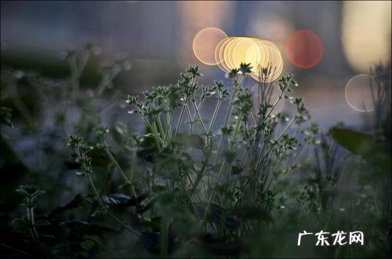 一般的甲亢患者多久才能好 甲亢一般多久会死？有什么需要注意的吗？