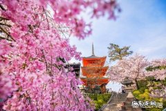 生完孩子脸颊长斑怎么办，怎么消退？