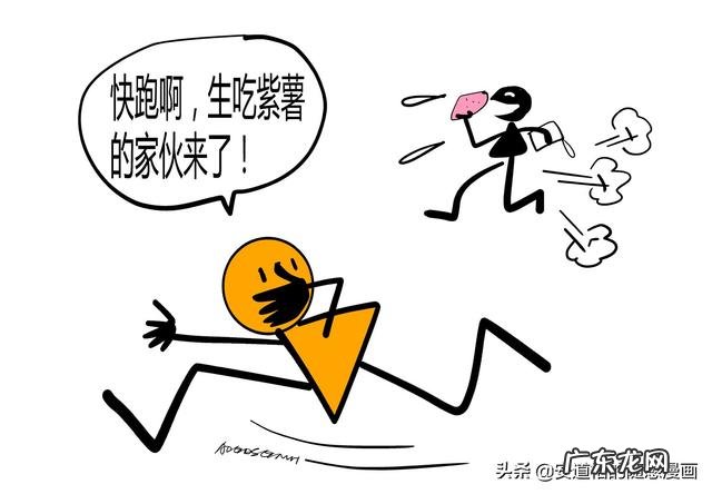 紫薯红薯和什么一起煮好吃 紫薯和红薯代替一餐,你选择吃哪个?