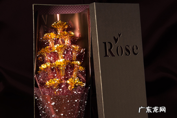 送女朋友新年礼物排行榜 2019情人节礼物排行榜