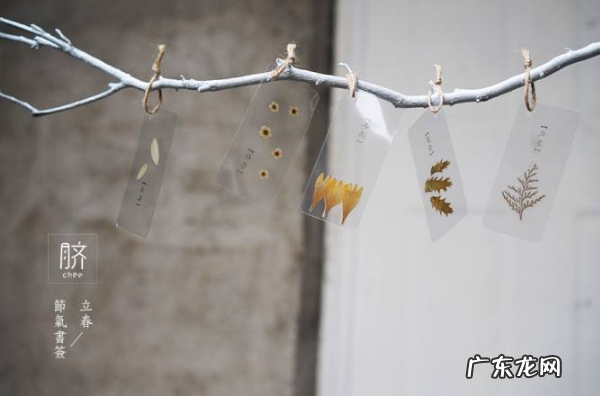 毕业礼物 高中毕业礼物排行榜