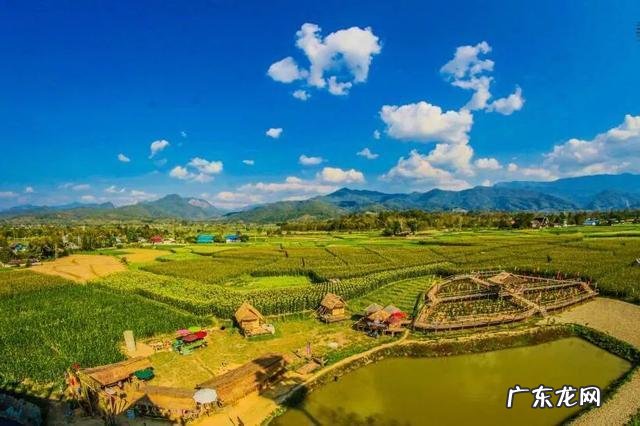 离不了,和不好,要怎么办?