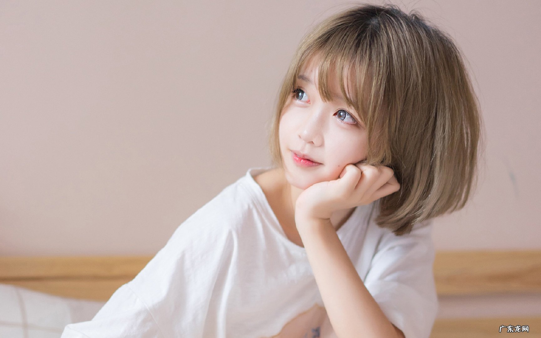 碧生源减肥茶和肠润茶什么区别