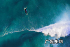 淘宝千牛怎么看一整年营业额？如何查看去年营业额？