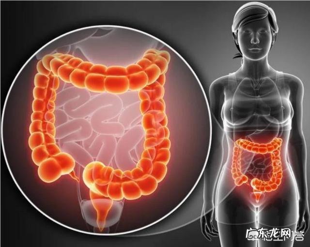 拉肚子期间吃零食会胖吗?