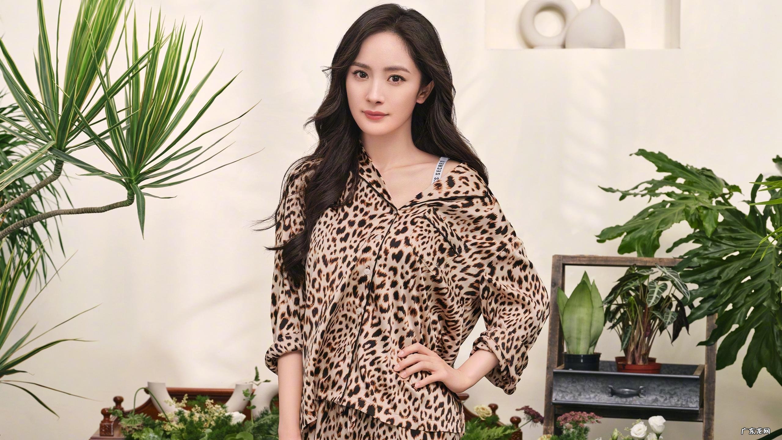 西红柿减肥食谱有什么呢?