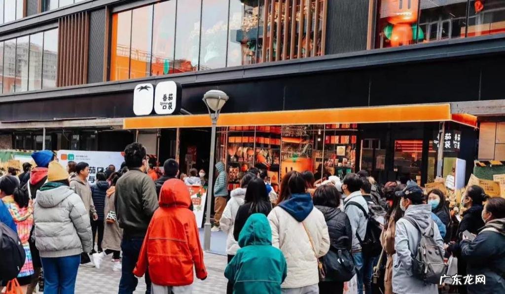 百亿资本涌入,“疯狂集合”的集合店