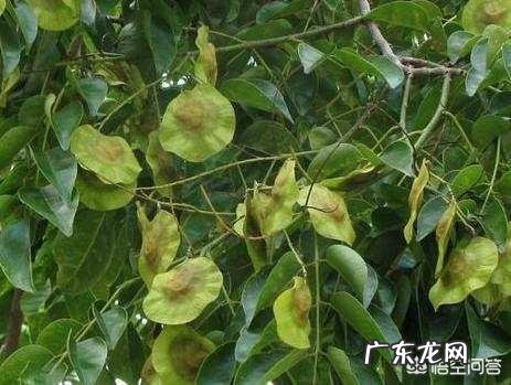 怎么能最快最健康的瘦下来,不反弹,白天9点到5点上班?