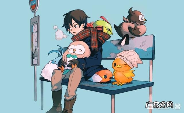 有哪些关于宝可梦温馨生活的插画推荐