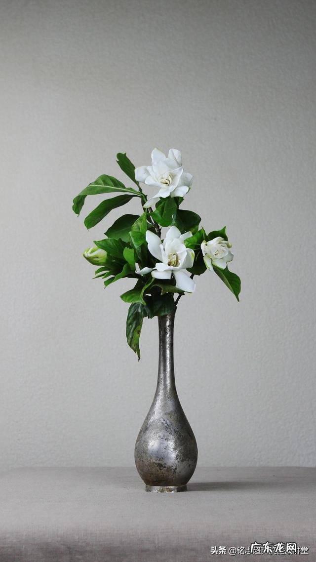 糖尿病病发症酮症酸中毒是什么症状?