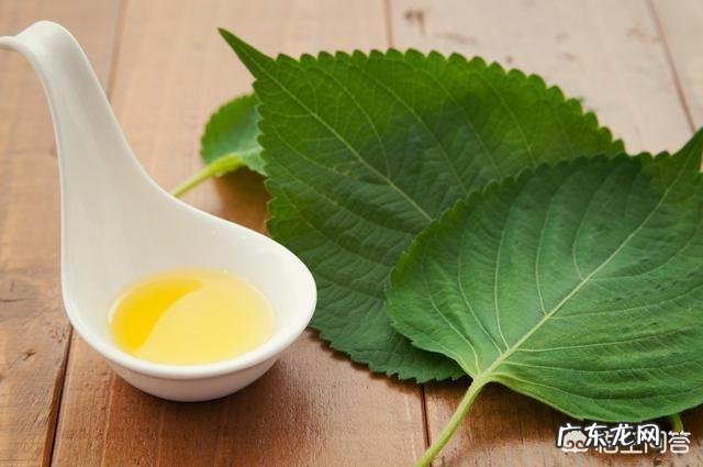 男人过了四十岁,5种减寿习惯,最好一个别占!指的是哪5种?