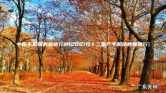 2021双十二国产手机销售量排行 中国手机销售量排行榜