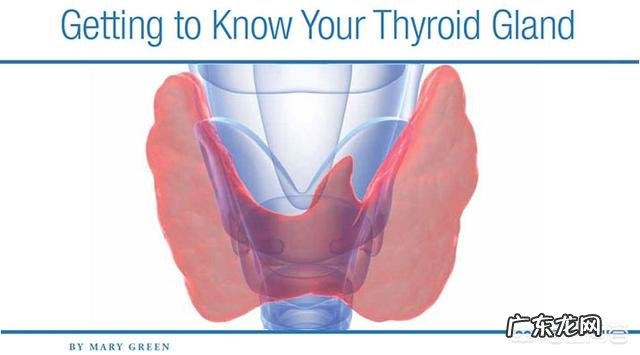甲减,肾炎患者怎样减肥?