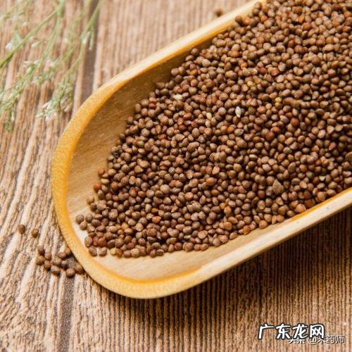 每天吃50克苏子籽对身体好吗?