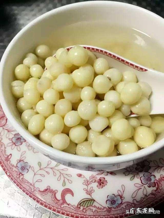 每天吃50克苏子籽对身体好吗?