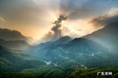 2021年电视机销量排行榜前十名 2021年电视销售排行榜2021