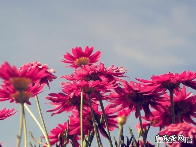 请问一下我和我老公经常遇到点生活小事情就吵架这样能过一辈子吗