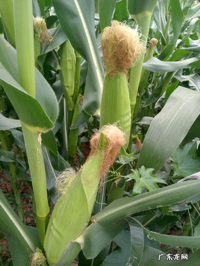 请问一下我和我老公经常遇到点生活小事情就吵架这样能过一辈子吗