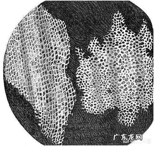 手里有270万的闲钱,本人还不懂投资理财什么的!该怎么办