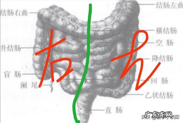 大便很粘,而且排不出来怎么回事?