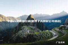 世界十大焊材公司排名 中国ct销售排行榜