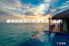 面条第一品牌 面条销售排行榜