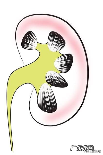 17岁小男孩儿容易口渴，尿频尿急怎么回事儿？