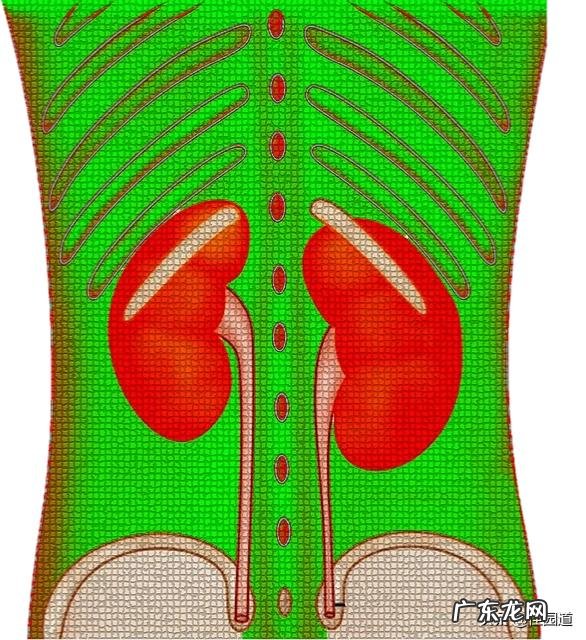 17岁小男孩儿容易口渴，尿频尿急怎么回事儿？