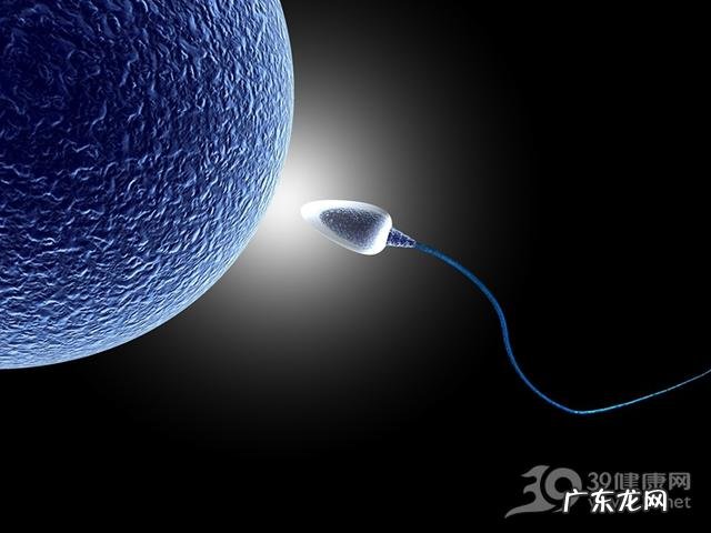 什么样的人会容易患上脂肪肝？