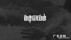 大学生如何自律？做到生活学习两不耽误？