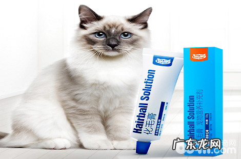 猫咪舔毛有危险,备上一只WOWO化毛膏吧!