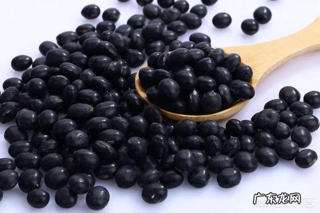 怎样让黑豆打豆浆好喝 你认为用黑豆打豆浆怎么样?