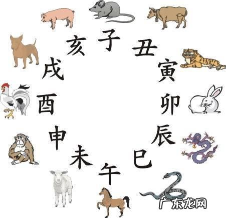 十二生肖民谣? 十二生肖歌曲排行榜大全