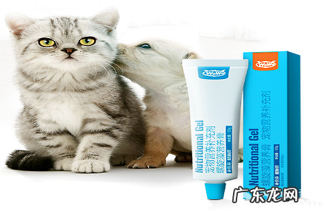 让猫咪发腮,需求多久喂一次WOWO猫咪养分膏?