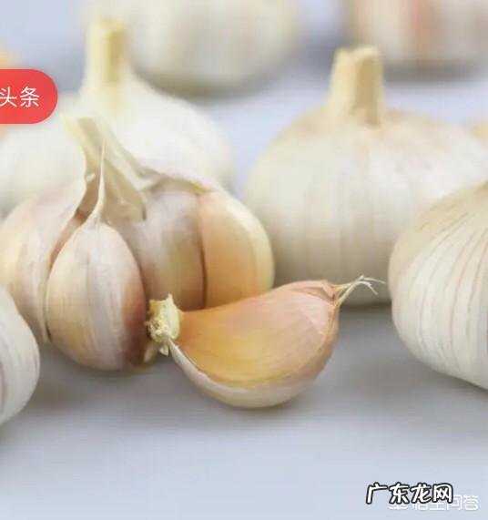 吃辣椒提高新陈代谢从而达到减肥的目的有可能吗?