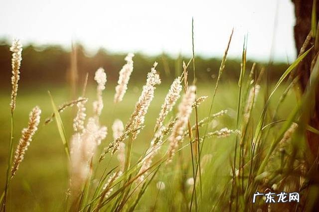 小腿和大腿根部特别粗壮,肉又松弛,如何改善?