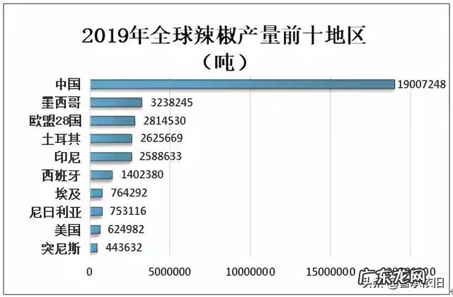 中国辣王排名 辣椒销售额排行榜